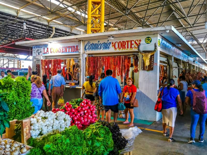 with the lower cost of living in mexico, it's easy for a single person or couple to live comfortably 