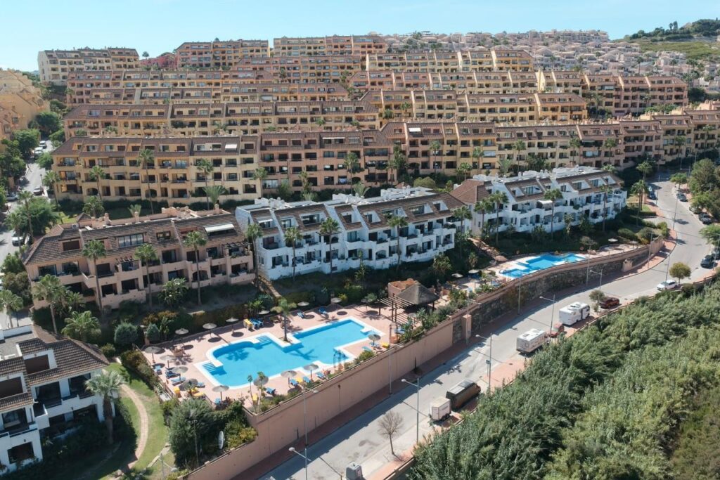 What My Newest Team Member Found on Spain’s Costa del Sol